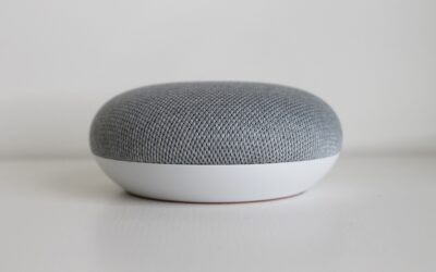 dan Google Assistant